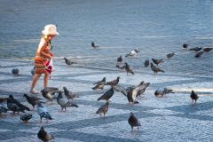 Girl Feeding Pigeons in Prague
