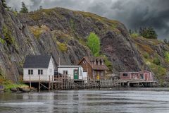 Quidi Vidi Scape