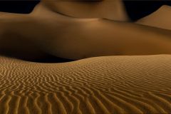 Moonlight Whispers in the Sand