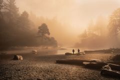 Veil of a Dawn Thru Fog