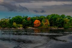 Early Fall Scape