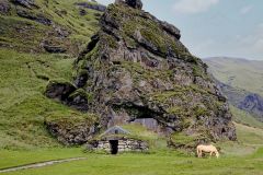 Viking Past