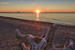Driftwood Sunrise View