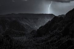 Convergence