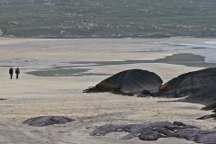 Low Tide