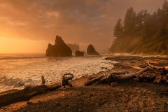 Whispers Beneath a Falling Sun