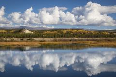 Reflections on the Lake