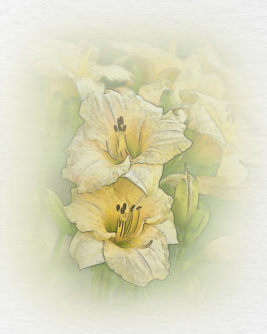 Watercolor Day Lilies