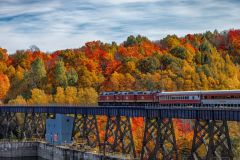 Fall Colours on the Agawa Train