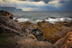 Newfoundland Cost Line