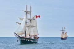 Tallships Parade Starting