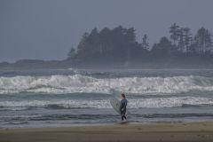 Surf Check Pacific Rim
