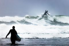 Surf's Up