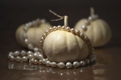 Celebrating Gourds