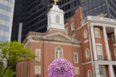 Flora Faith and Finance