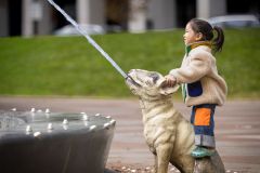 I Wish, I Wish, I Wish...