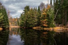 Autumns Last Hurrah