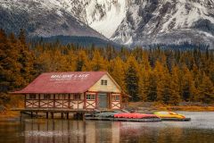 Iconic Alberta