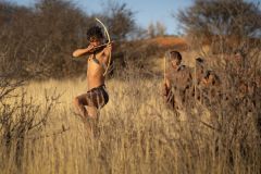 Bushman Hunting Food