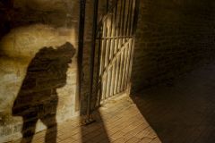 Lurking in the Shadows