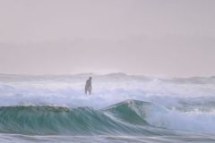 Surfing at Ucluelet
