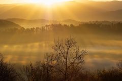 Smokies Foggy Sunrise Burst