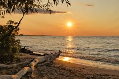 Sunny Morning on Driftwood Beach