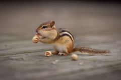 That's Not Fresh. YUCK!!!