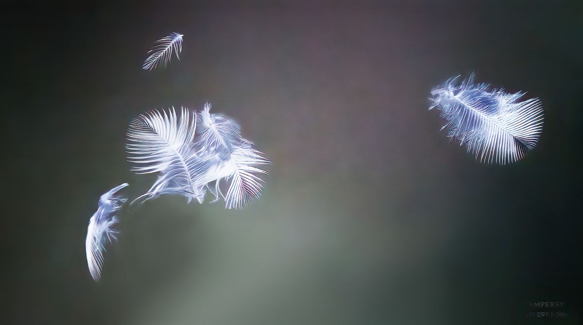 Window Pane with Evidence of Ornithological Pain
