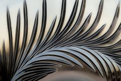 The Delicate Shards of Glass