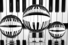 Reflections in Harmony