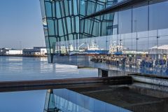 Harpa Doubled