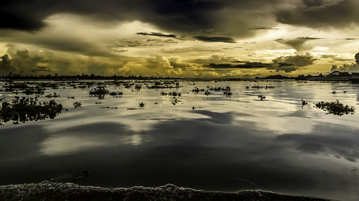 Water Hyacinth and Storm Clouds Makong Delta