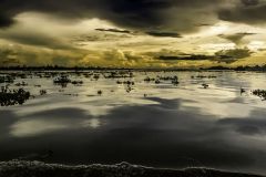 Water Hyacinth and Storm Clouds Makong Delta