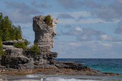 Sentinal of the Shore