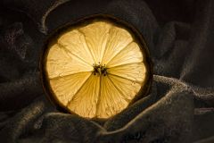 A Wonderful Sense of Warmth