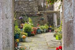 Welcome to My Garden