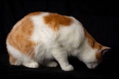 The Secret Scent of Studio Nine