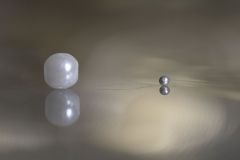 Harmony in Diversity