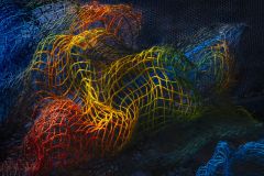 Exploring Vibrant Colours